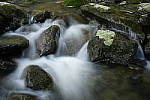 Click to see Y_DSC0268.JPG