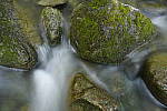 Click to see Y_DSC0274.JPG