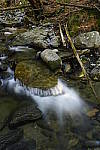 Click to see Y_DSC0293.JPG
