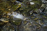 Click to see Y_DSC0301.JPG