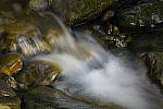 Click to see Y_DSC0304.JPG