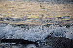 Click to see Y_DSC0384.JPG