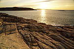 Click to see Y_DSC0435.JPG