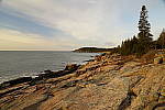 Click to see Y_DSC0437.JPG