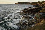Click to see Y_DSC0443.JPG