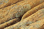 Click to see Y_DSC0449.JPG