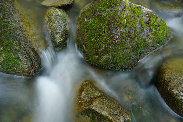 Sony A6300 Review: Field Test -- Gallery Image