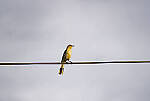 Click to see Y-70-180-9793-EDT.JPG