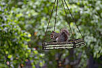 Click to see Y-70-180-9852-EDT.JPG
