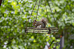 Click to see Y-70-180-9855-EDT.JPG