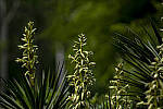 Click to see Y-70-180-9865-EDT.JPG