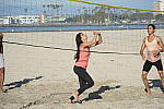 Click to see Y-JS-DSC00336.JPG