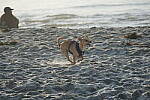 Click to see Y-JS-DSC00713.JPG