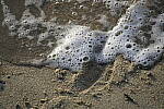 Click to see Y-JS-DSC00762.JPG