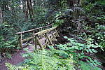 Click to see YDSC01359-HighISO.JPG