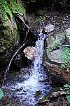 Click to see YDSC01360-HighISO.JPG