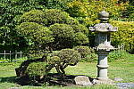 Click to see YDSC01367.JPG