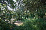 Click to see YDSC01371.JPG