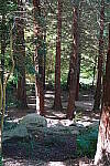 Click to see YDSC01387.JPG