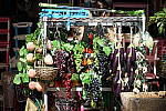 Click to see Y-18_135-DSC00162.JPG