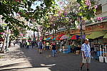 Click to see Y-18_135-DSC00170.JPG