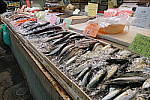 Click to see Y-18_135-DSC00199.JPG