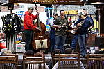 Click to see YDSC00010.JPG