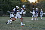 Click to see YDSC00667.JPG