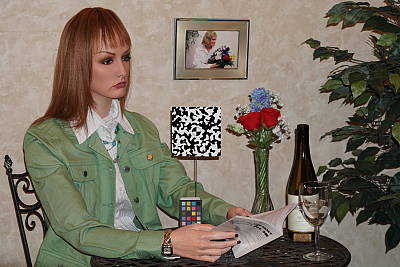 Click to see A6500INBFP3.JPG
