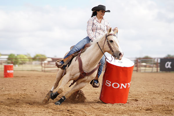 Sony RX100 V review -- Sample photo