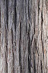 Click to see Y-JG-A6600-0138.JPG