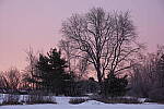 Click to see Y-JG-A6600-0147.JPG