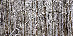 Click to see Y-JG-A6600-0174-MOD.JPG