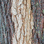 Click to see Y-JG-A6600-0199-MOD.JPG