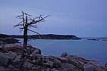 Click to see Y-JG-A6600-0469.JPG