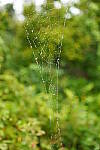 Click to see Y-WB-A6600-DSC00062.JPG