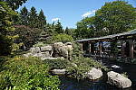 Click to see Y-WB-A6600-DSC00994.JPG