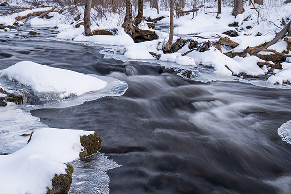 Sony A6600 Review: Field Test -- Gallery Image