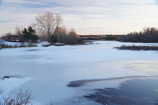 Sony A6600 Review: Field Test -- Gallery Image