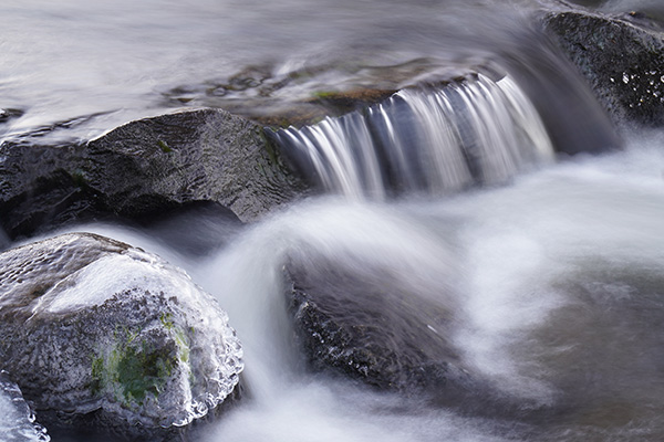 Sony A6600 Review: Field Test -- Gallery Image