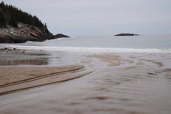 Sony A6600 Review: Field Test -- Gallery Image