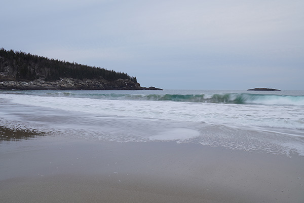 Sony A6600 Review: Field Test -- Gallery Image