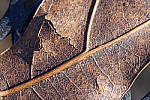 Click to see YDSC01073-IS.JPG