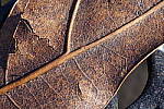 Click to see YDSC01075-NoIS.JPG
