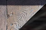 Click to see YDSC01105-IS.JPG