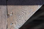 Click to see YDSC01106-NoIS.JPG