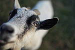 Click to see YE-35MM-00369.JPG