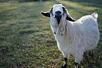 Click to see YE-35MM-00370.JPG