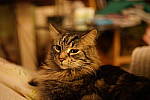 Click to see YE-35MM-00379.JPG