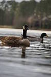 Click to see YFE-24-240MM-414.JPG